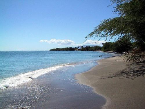 キヘイ Maui Suncoast Maui Vistaアパートホテル 設備 写真